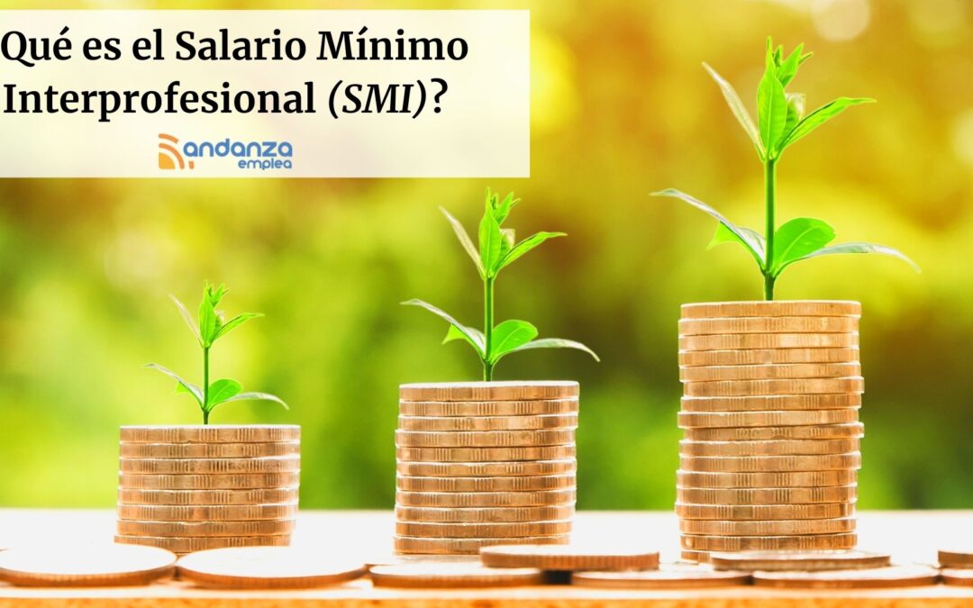 ¿Qué es el Salario Mínimo Interprofesional (SMI)?